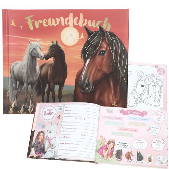 Miss Melody Freundebuch, Motiv 2