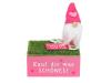 WUNSCHERFÜLLER Wichtel auf kleiner Schachtel