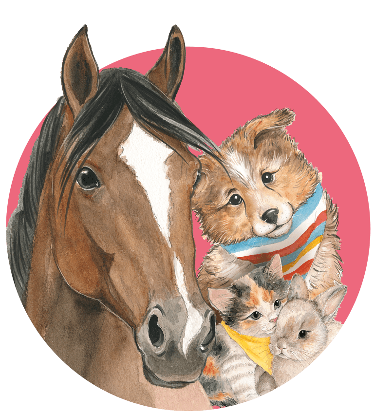 Miss Melody and friends met illustraties van paarden, honden, katten en konijnen