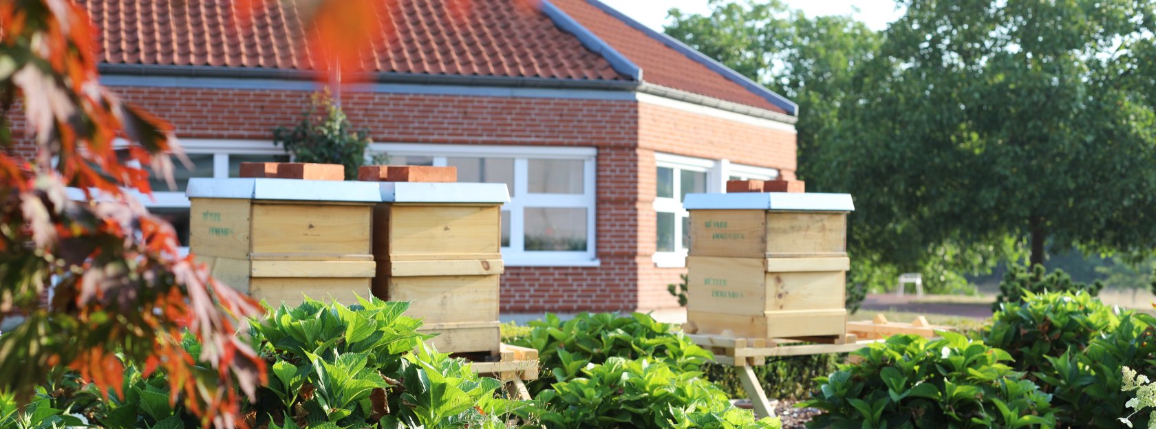 Firmensitz von Depesche mit Bienenstöcken